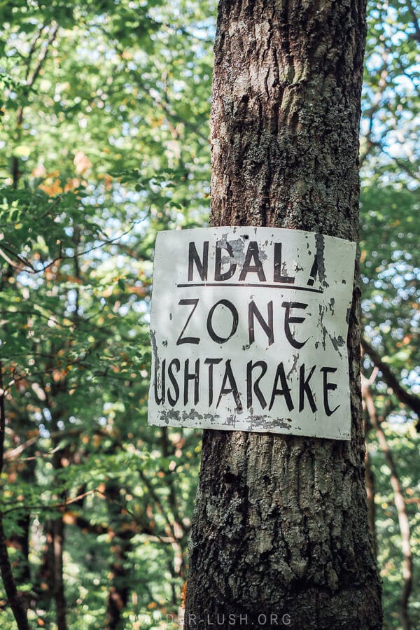 A sign warns hikers not to cross into a military zone on a hiking trail at Mount Dajti.