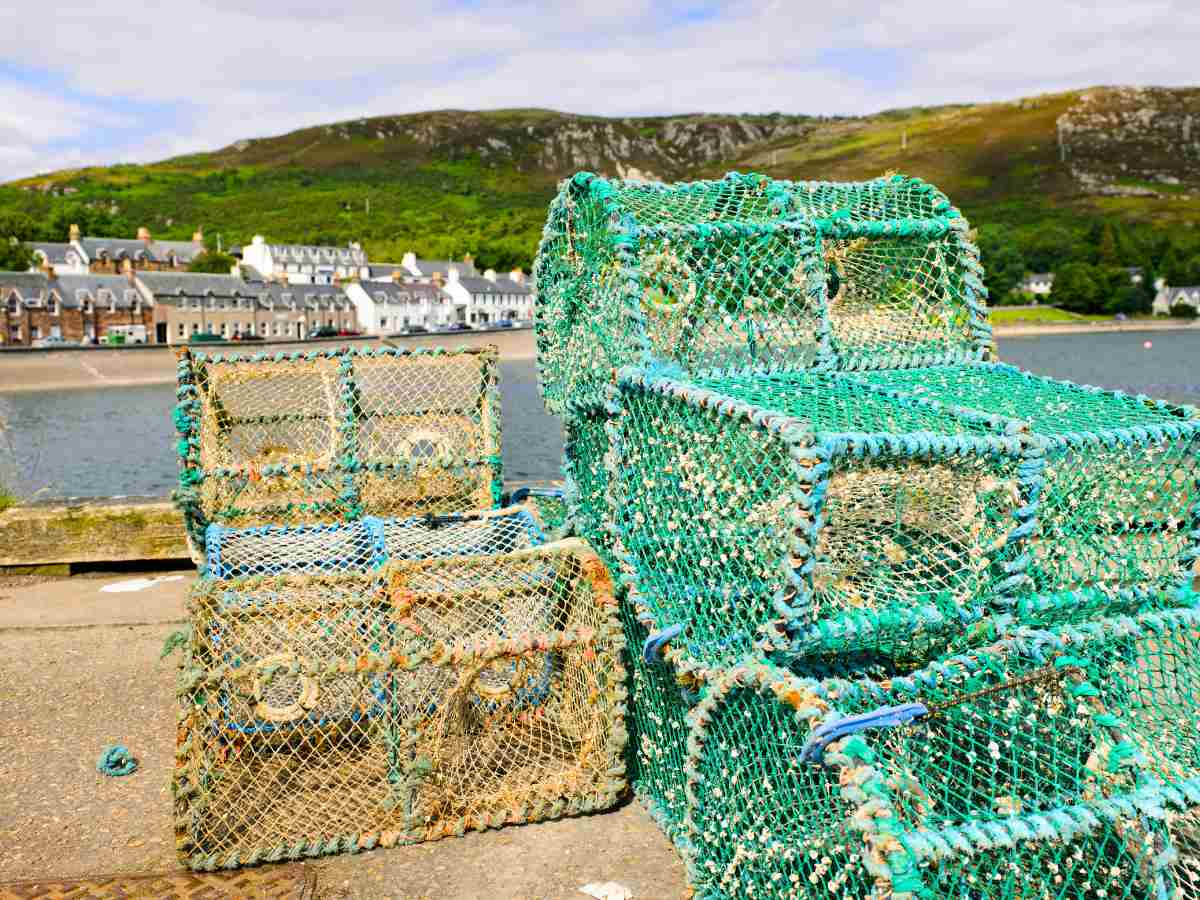 Lobster pots Ullapool Scotland