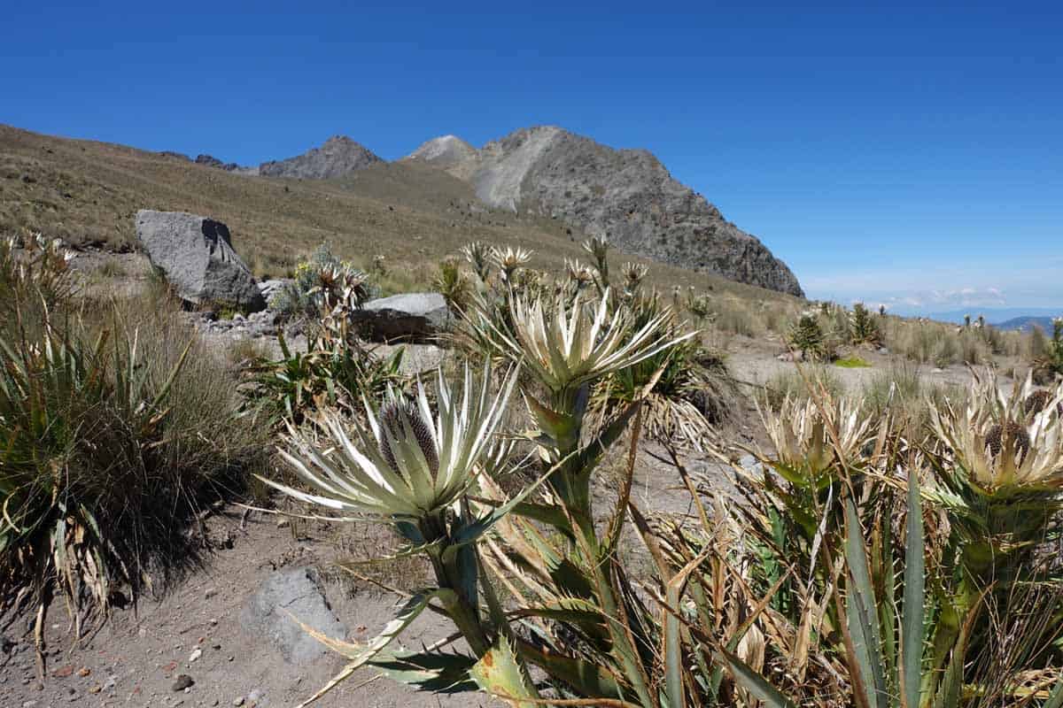 Hiking Nevado de Toluca