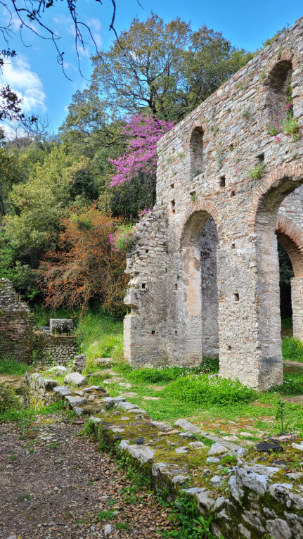 The Great Basilica at Butrint National park with surrounding greenery and colorful blooming shrubs