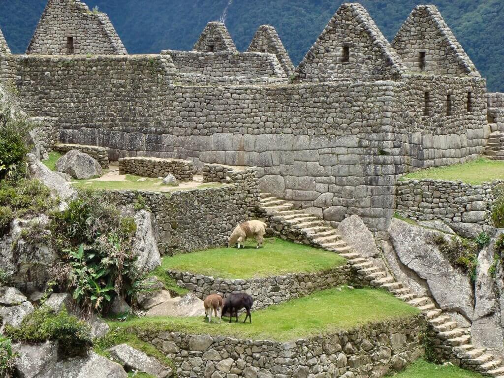 Machu Picchu