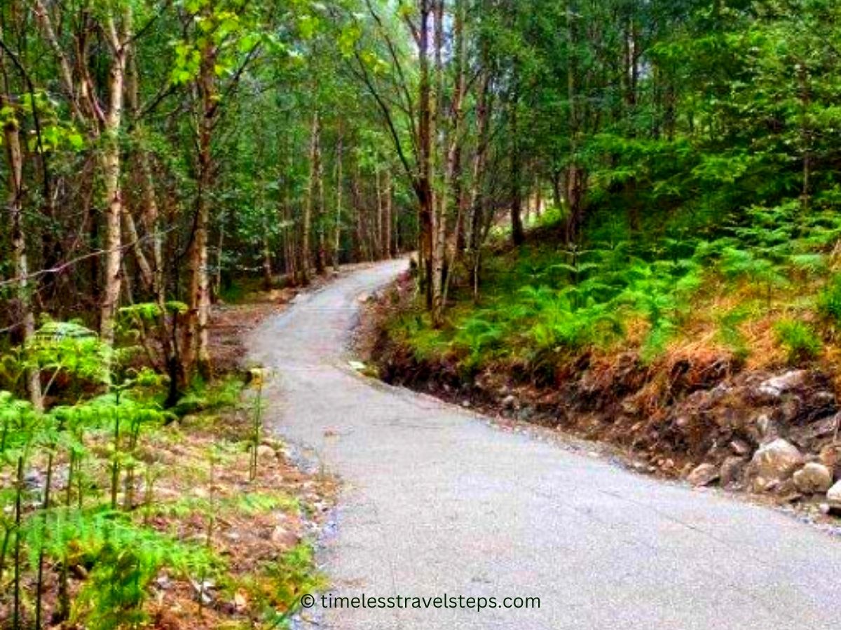 the walking trail at Corrieshalloch Gorge in the National Nature Reserve