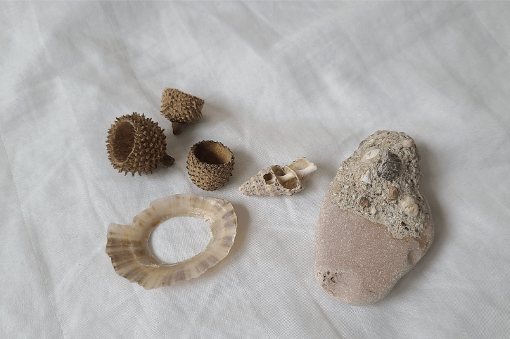 treasures that might be considered garbage. Acorn tops, two broken shells and a special rock.