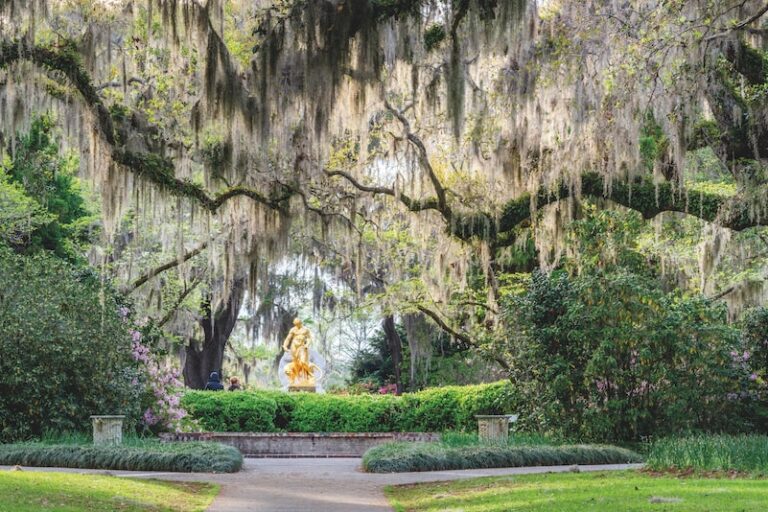 "The Joy of Exploring Gardens" by Lonely Planet: A New Travel Guide for Garden Lovers