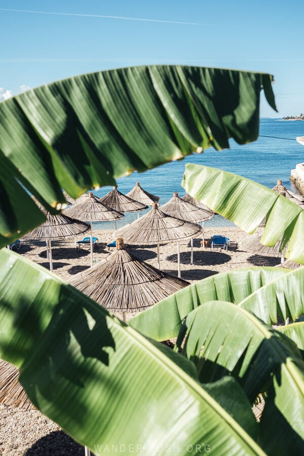 Beach umbrellas on the Albanian coast viewed through palm trees.
