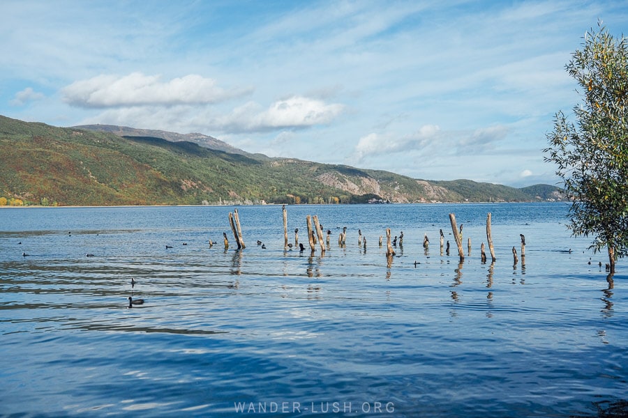 Wooden stilts emerge from the glassy blue waters of Lake Ohrid, as seen from the village of Lin.