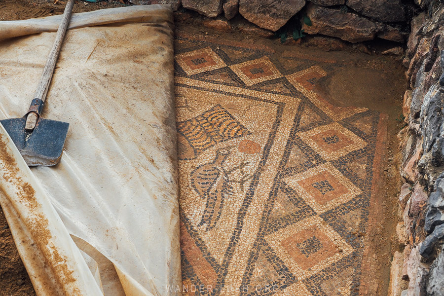 A corner of the Lin Mosaic, an ancient mosaic depicting a bird and geometric shapes.