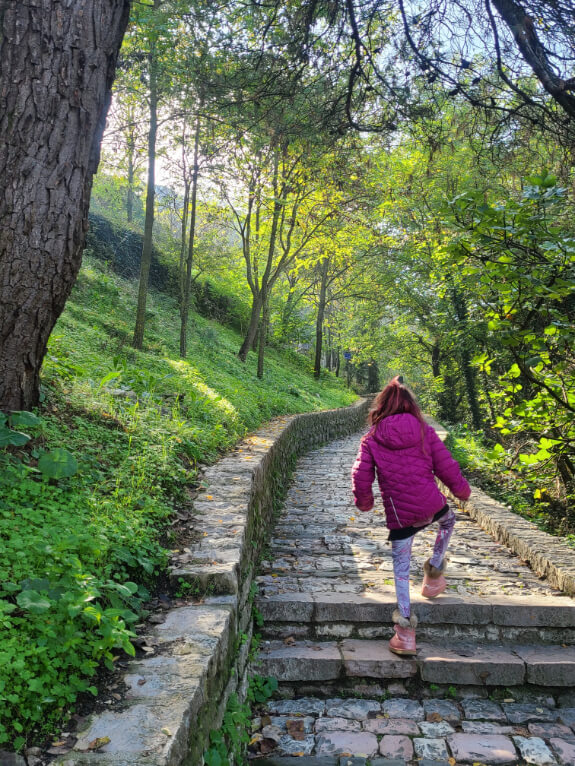 A stone path and stairs toward Gjirokaster Castle through the forest