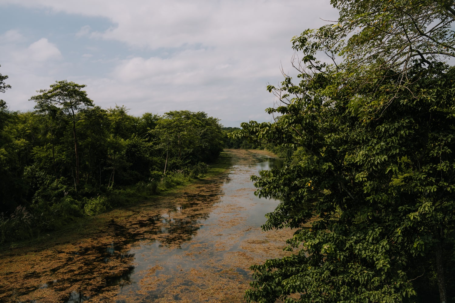 The Rapti River in Chitwan National Park.