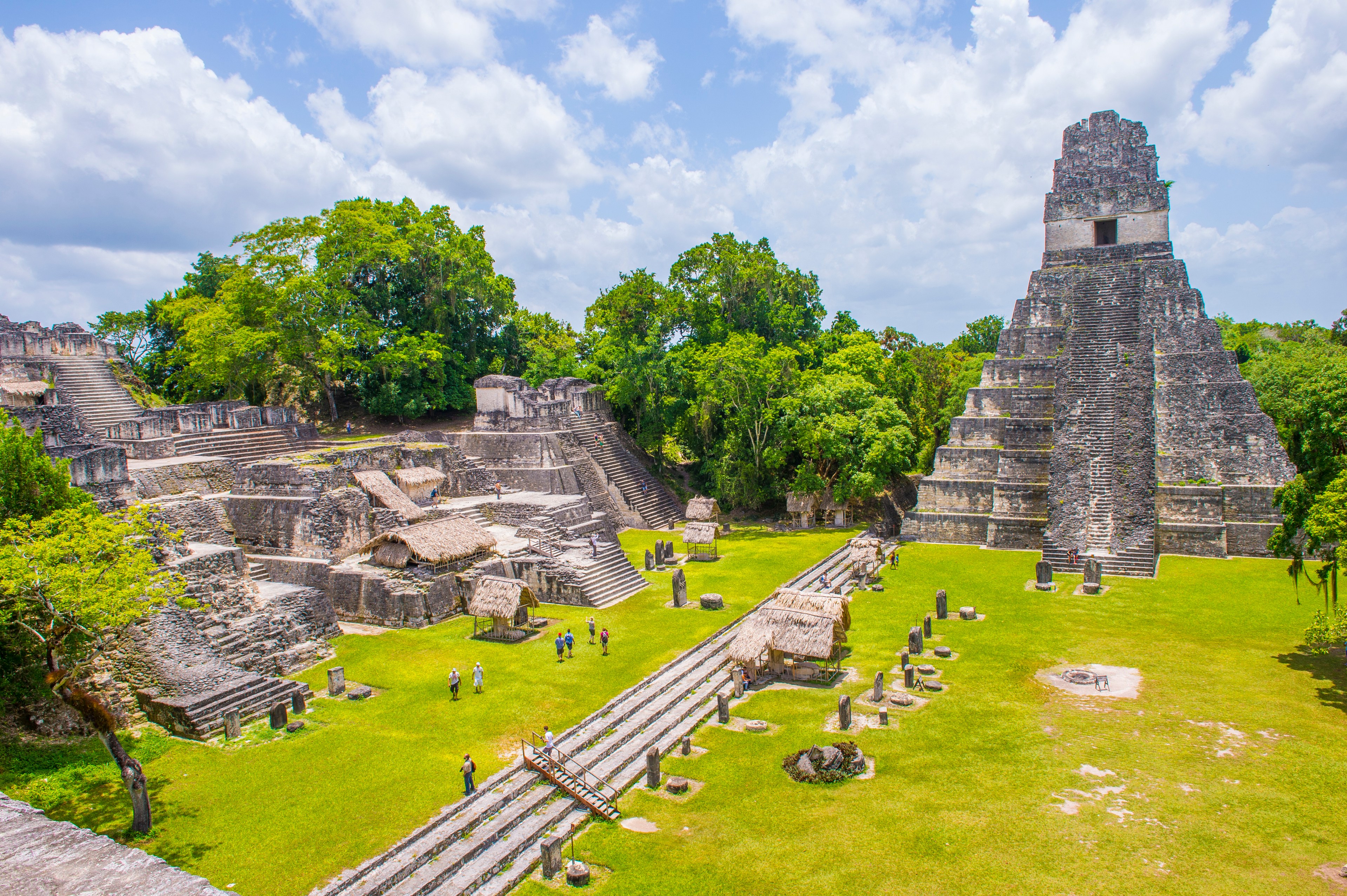 Pyramids with grass and trees. 