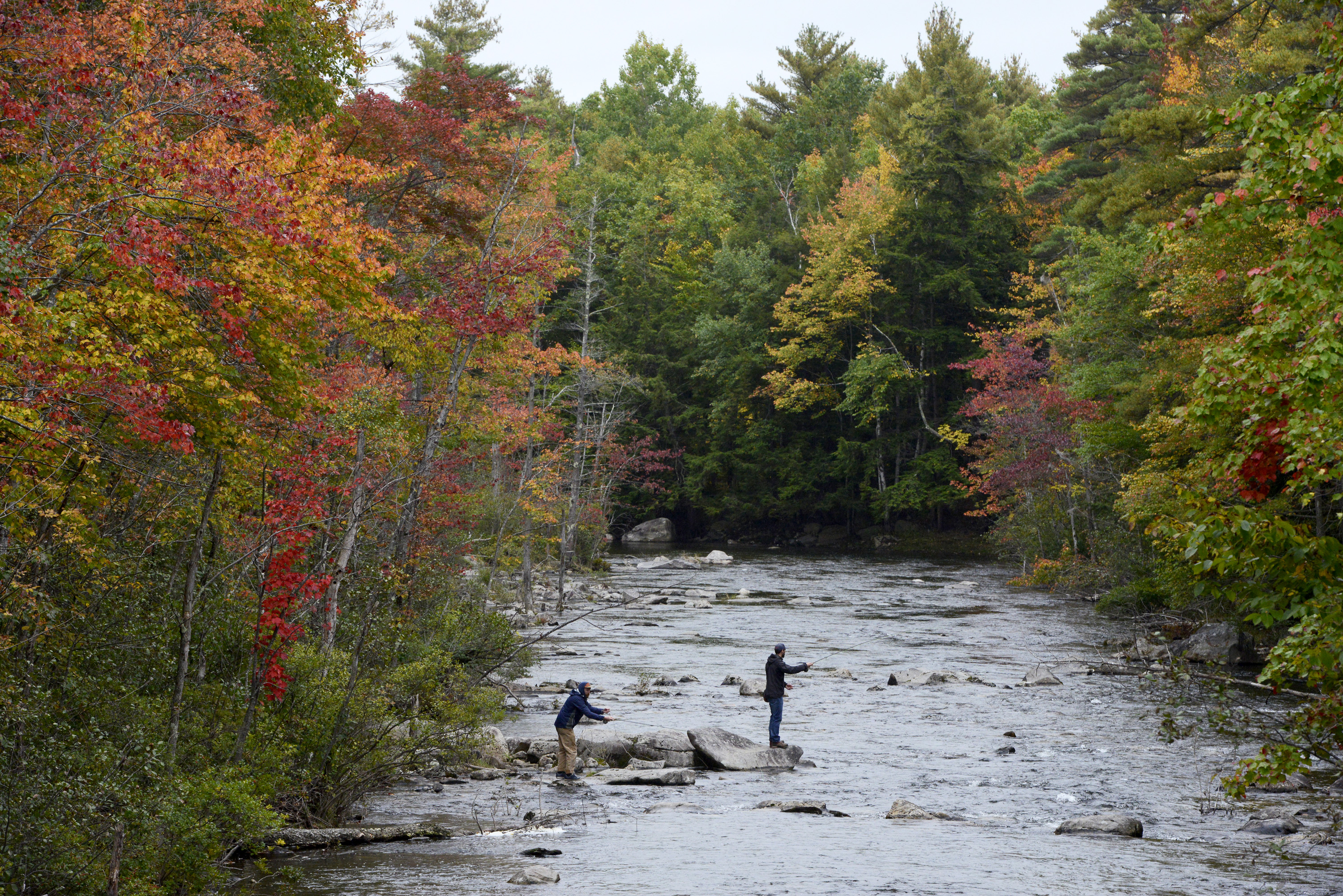 Two people stand a river fishing.