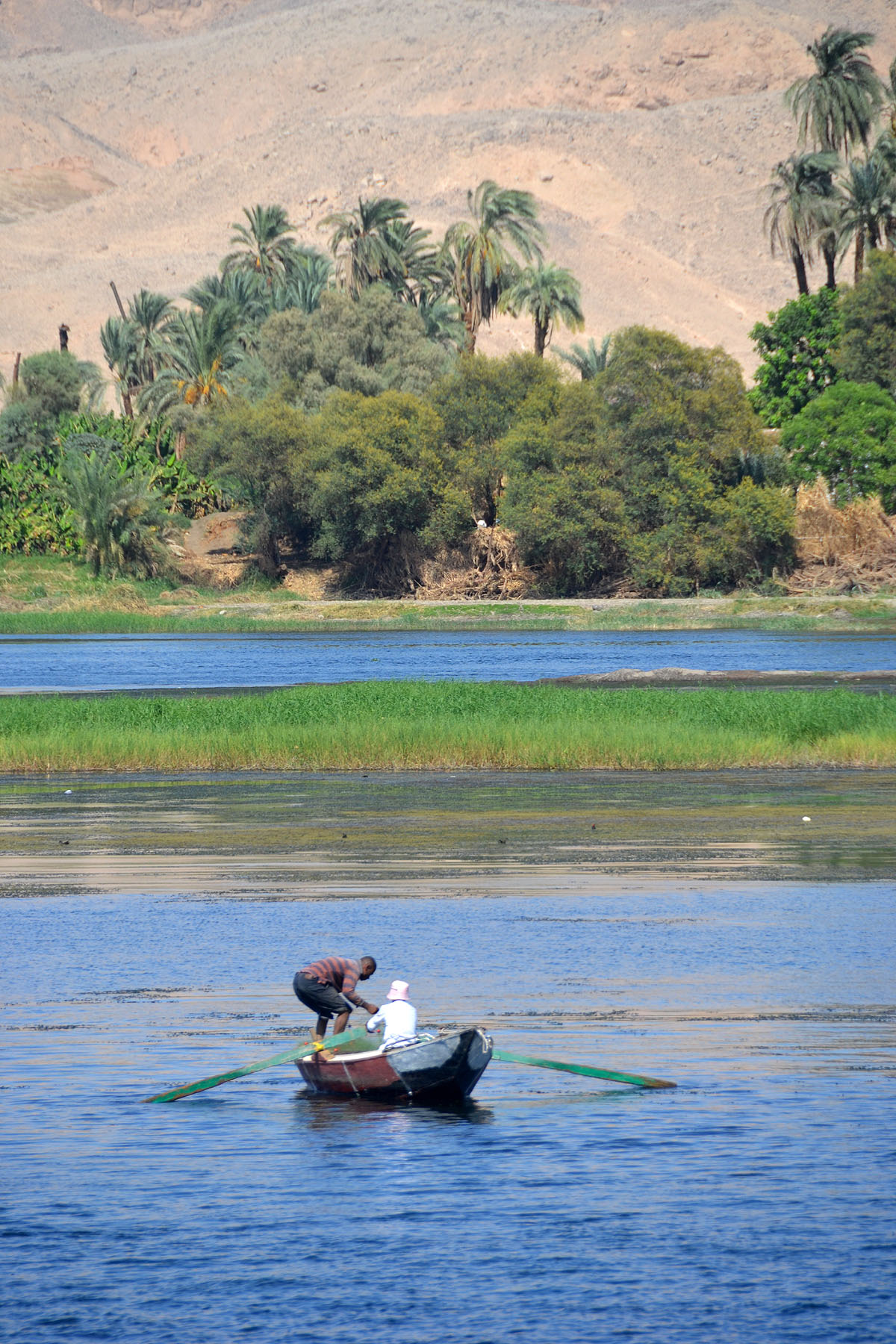 nile cruise 