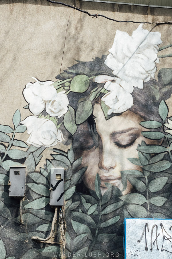 A street mural of a woman surrounded by flowers and leaves.