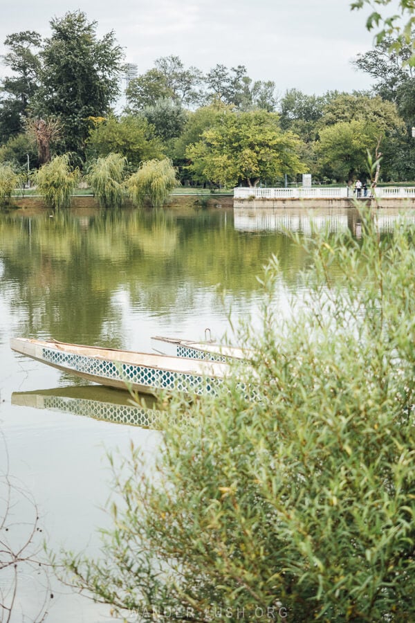 Two boats emerge from the greenery on the side of Rustavi Lake.