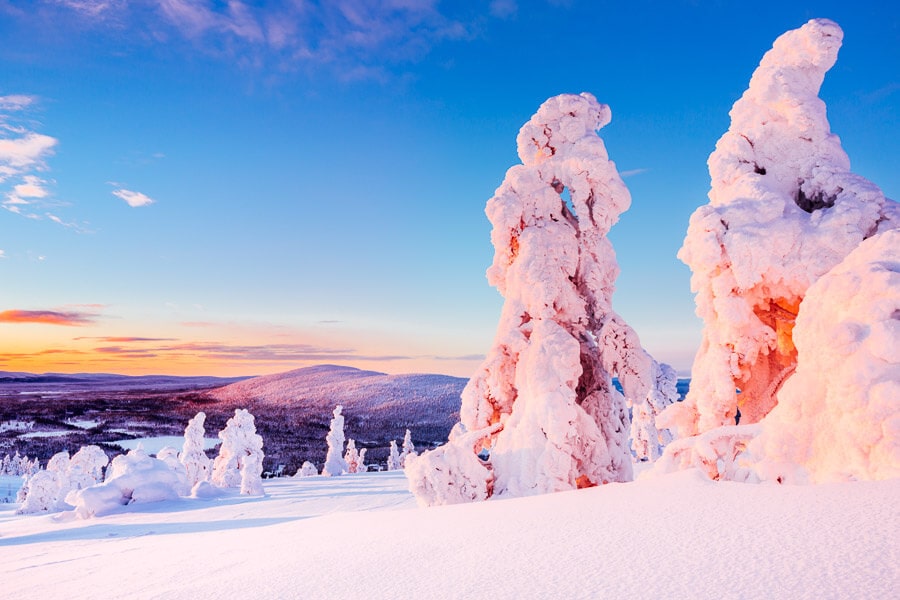 Trees covered in snow against a colourful sky in Levi, Finland.