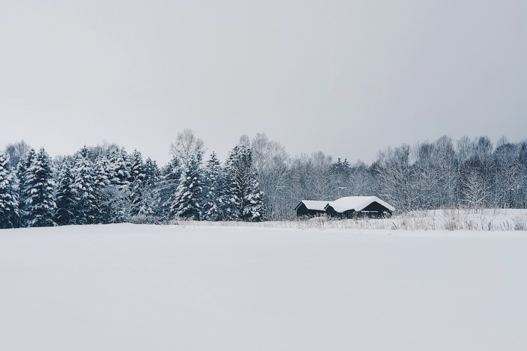 Snowy scene in Niseko, Japan