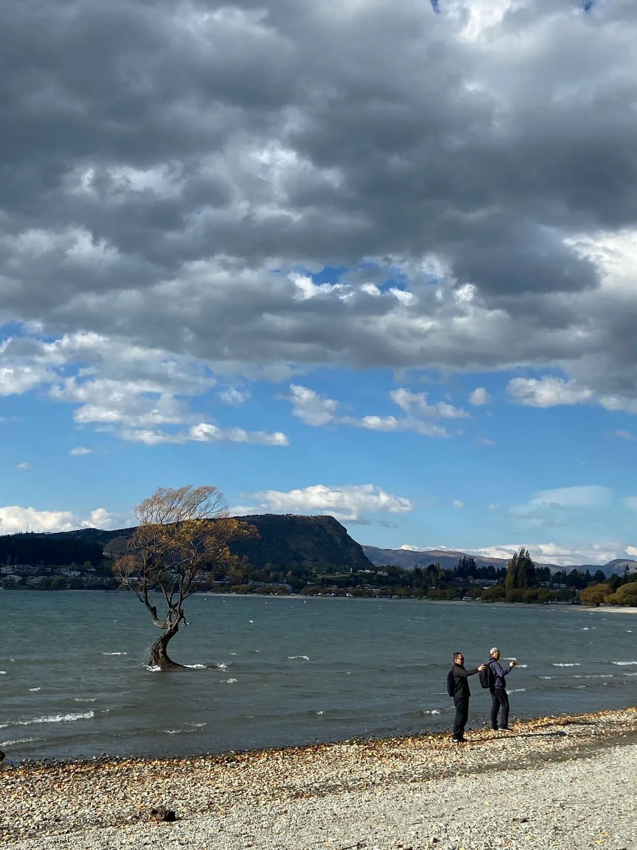 Two men trying to take a forced perspective selfie in front of That Wanaka Tree in Wanaka, New Zealand