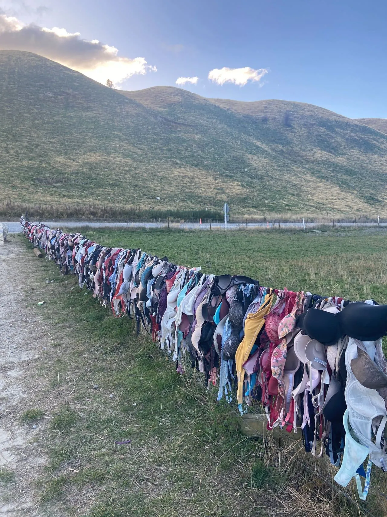 Bradrona fence in New Zealand