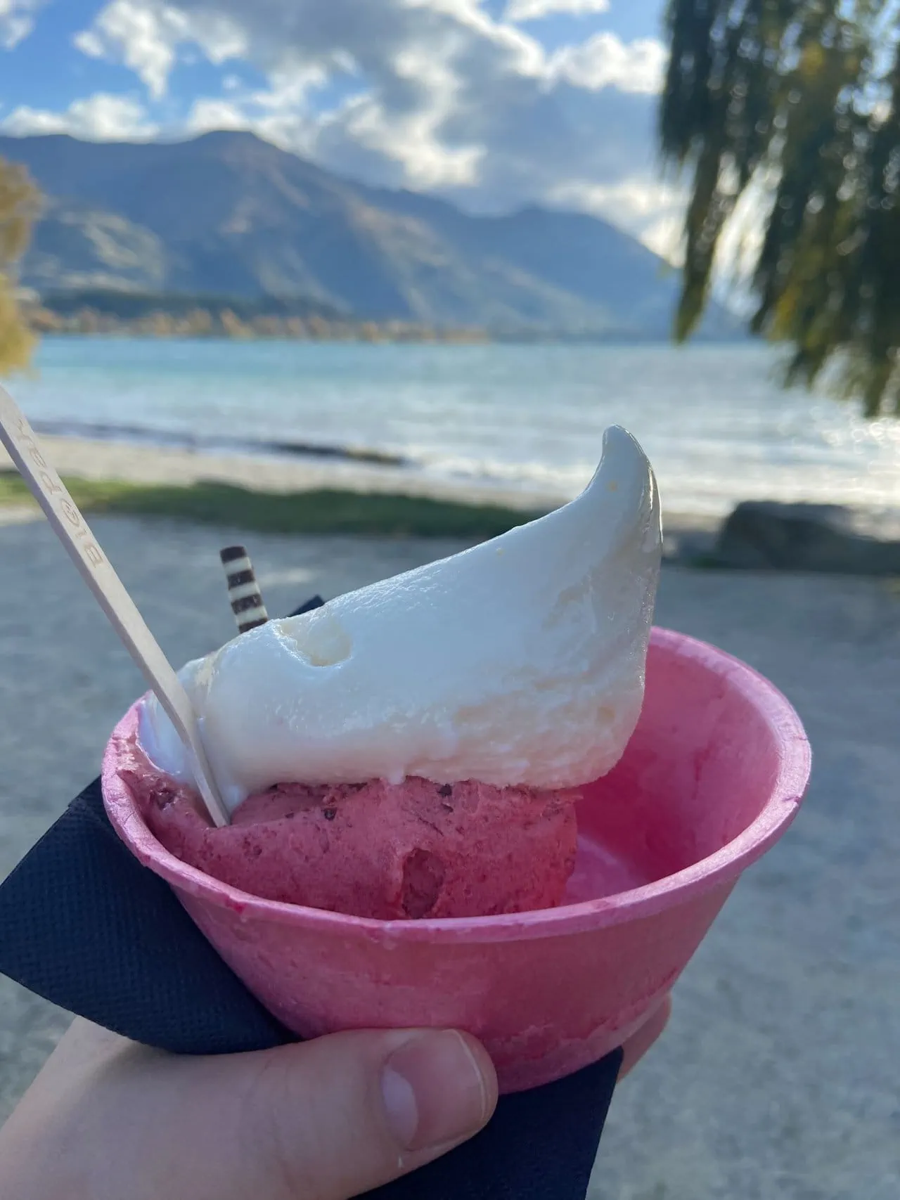 Black Peak ice cream in Wanaka