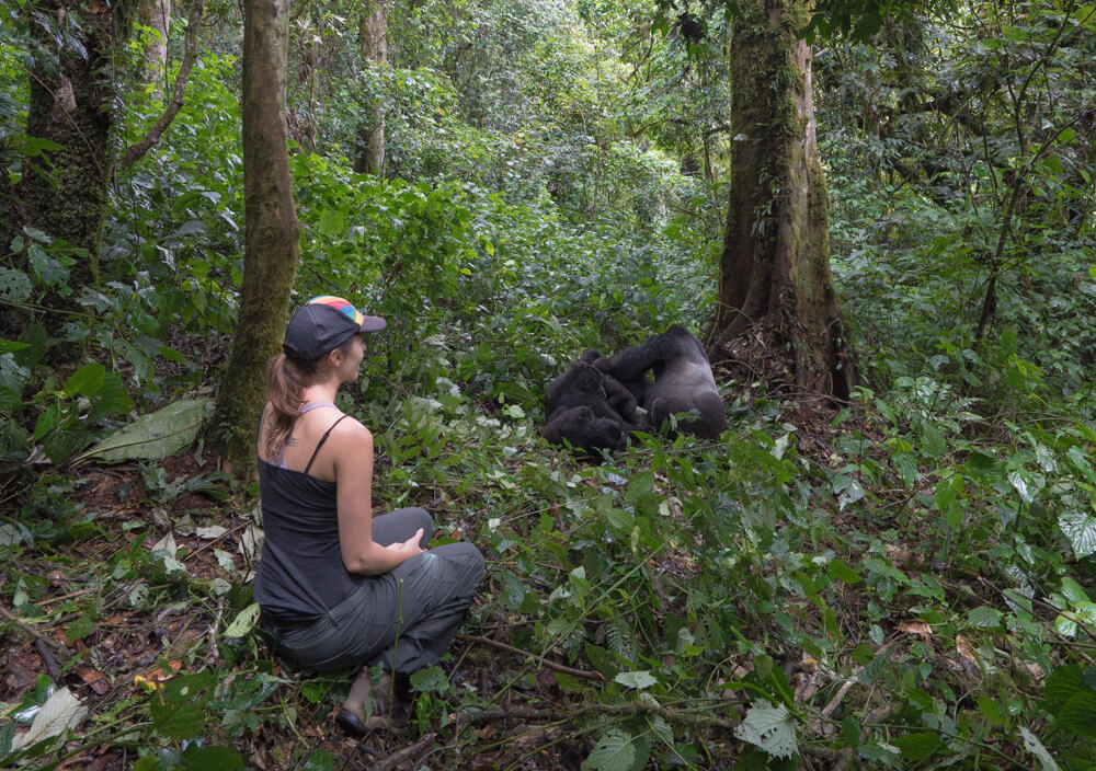 gorilla trekking uganda