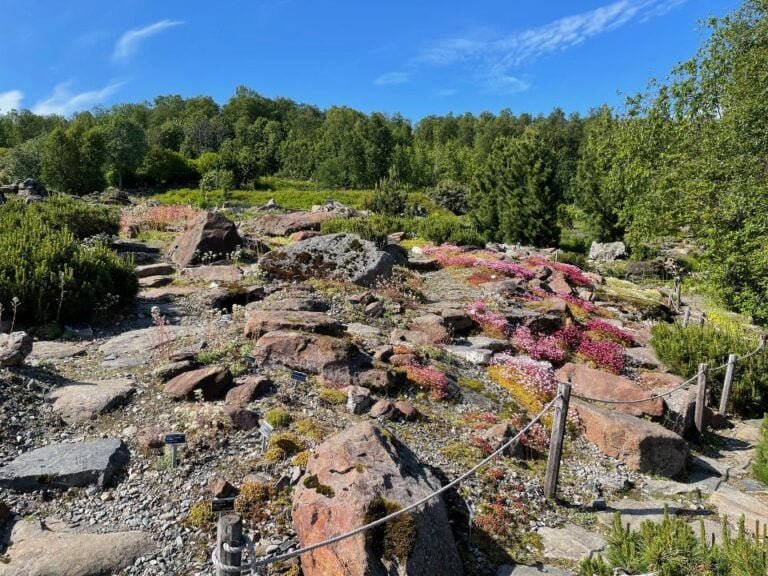 Botanic Gardens in Tromsø. Photo: David Nikel.