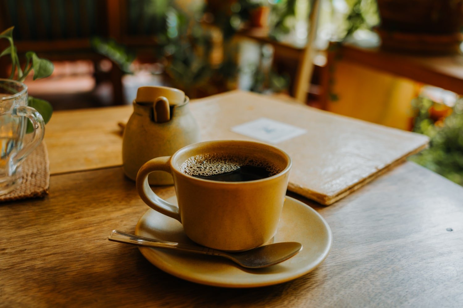 A cup of organic coffee sitting on a table inside a cozy, plant-filled cafe.