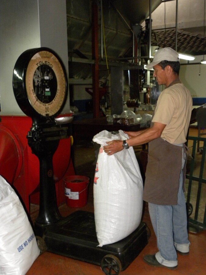 Man weighing beans at Espiritu Santo