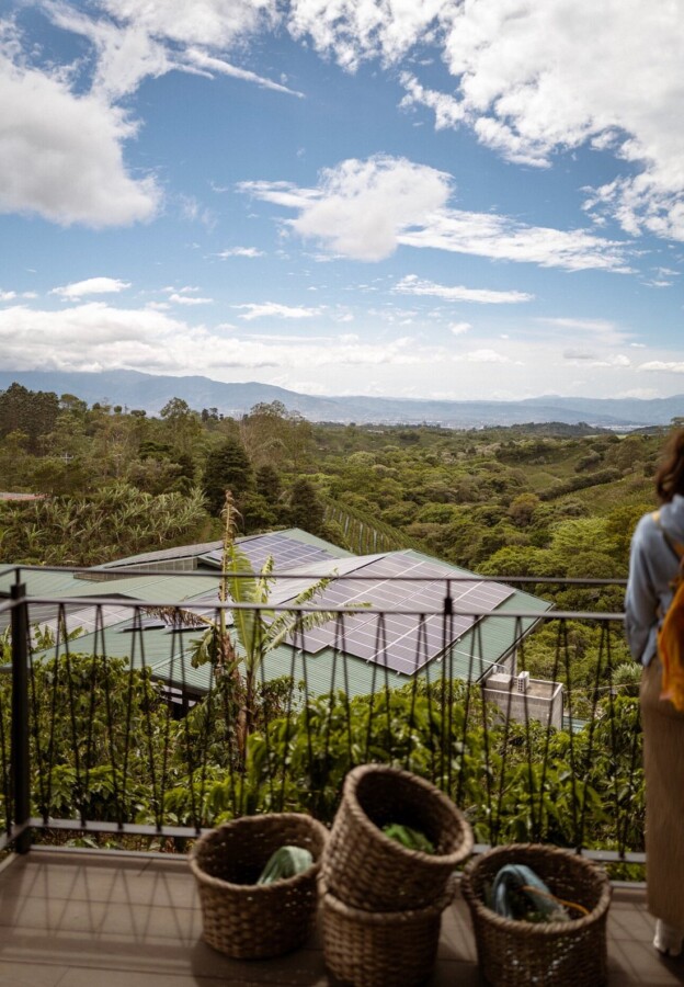 Aerial view of Hacienda Alsacia