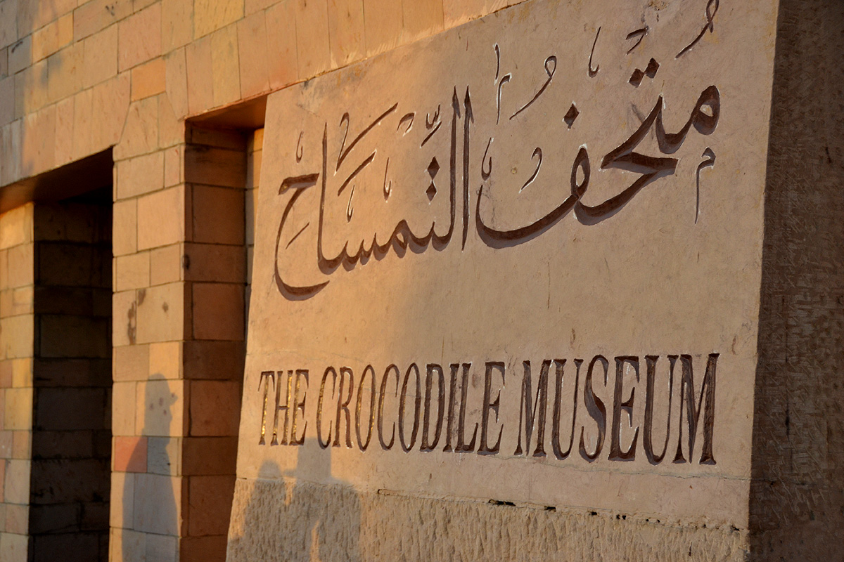 kom ombo crocodile museum