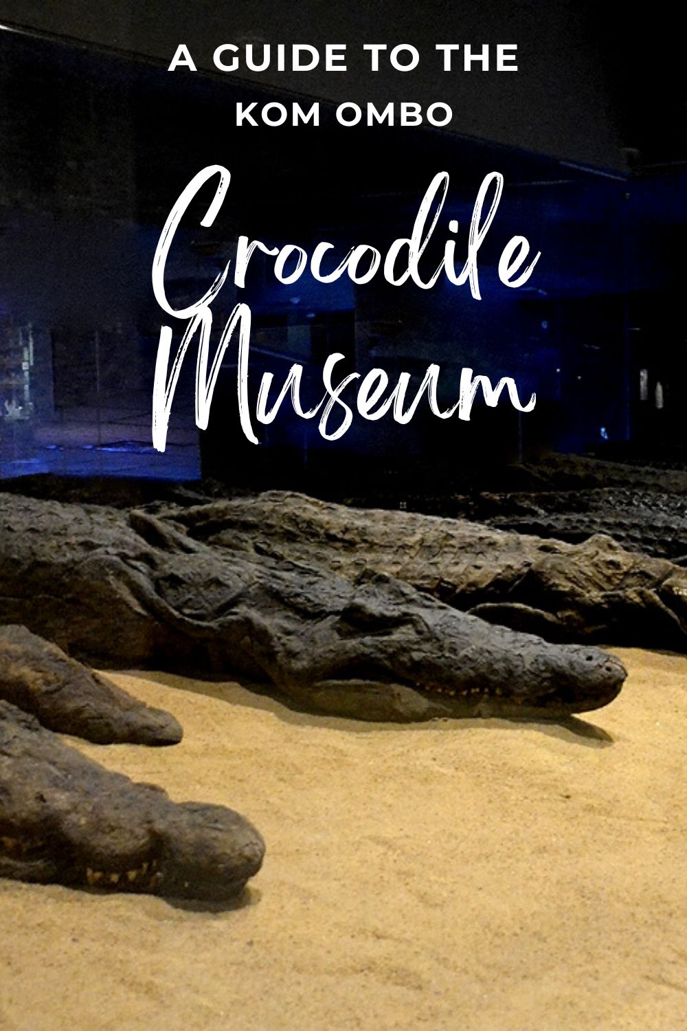 kom ombo crocodile museum 