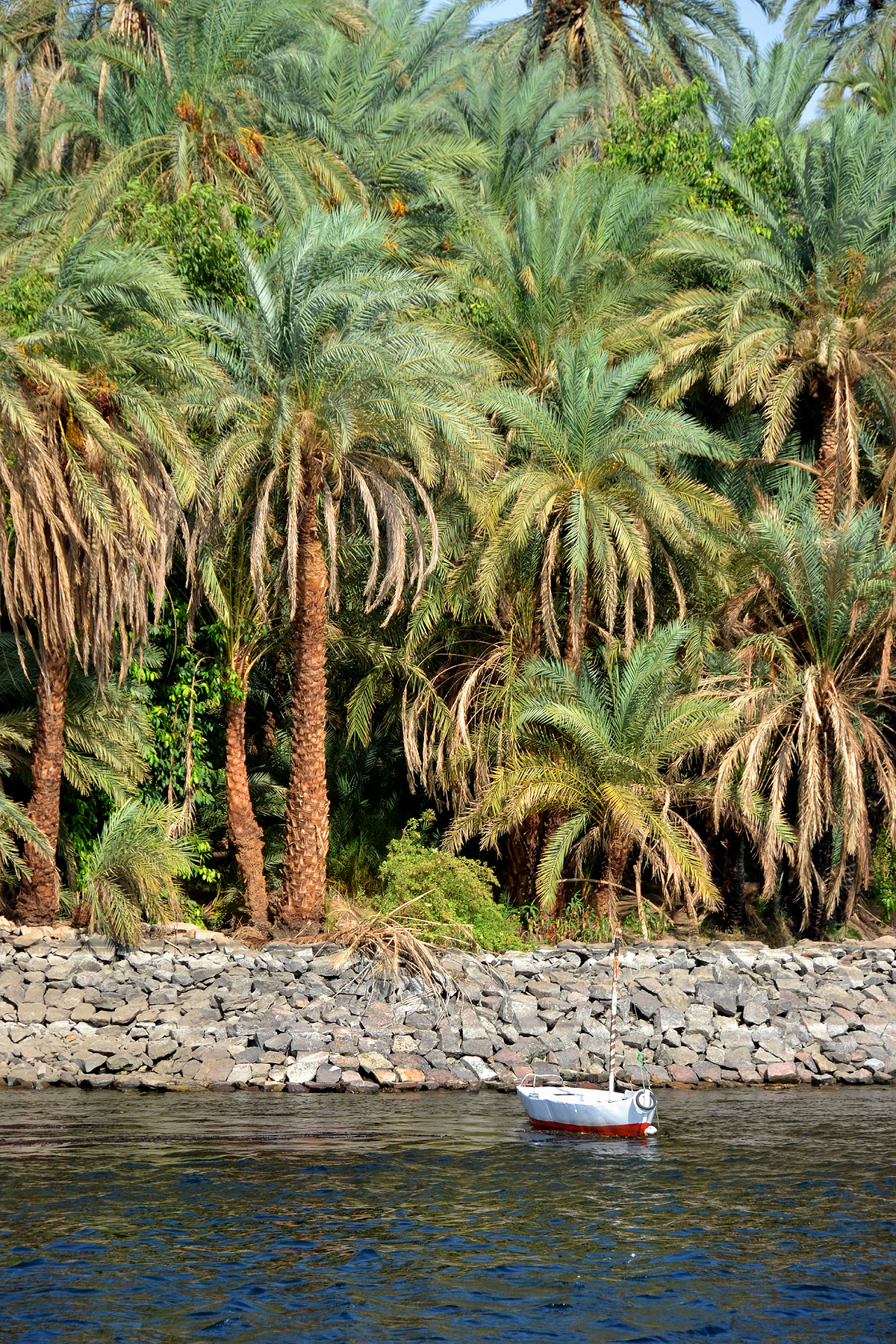 nile near kom ombo 