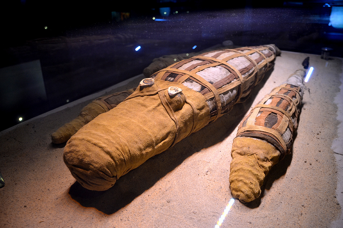 kom ombo crocodile museum