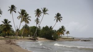 Dominican Republic Vaccine Requirements & What Vaccinations Are Recommended?