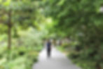 A boy running down a path in the roof garden