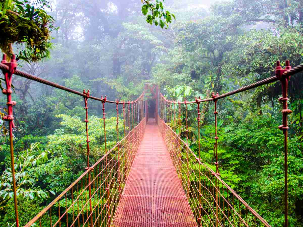 bridge in Monteverde Costa Rica Ecotourism timeless travel steps