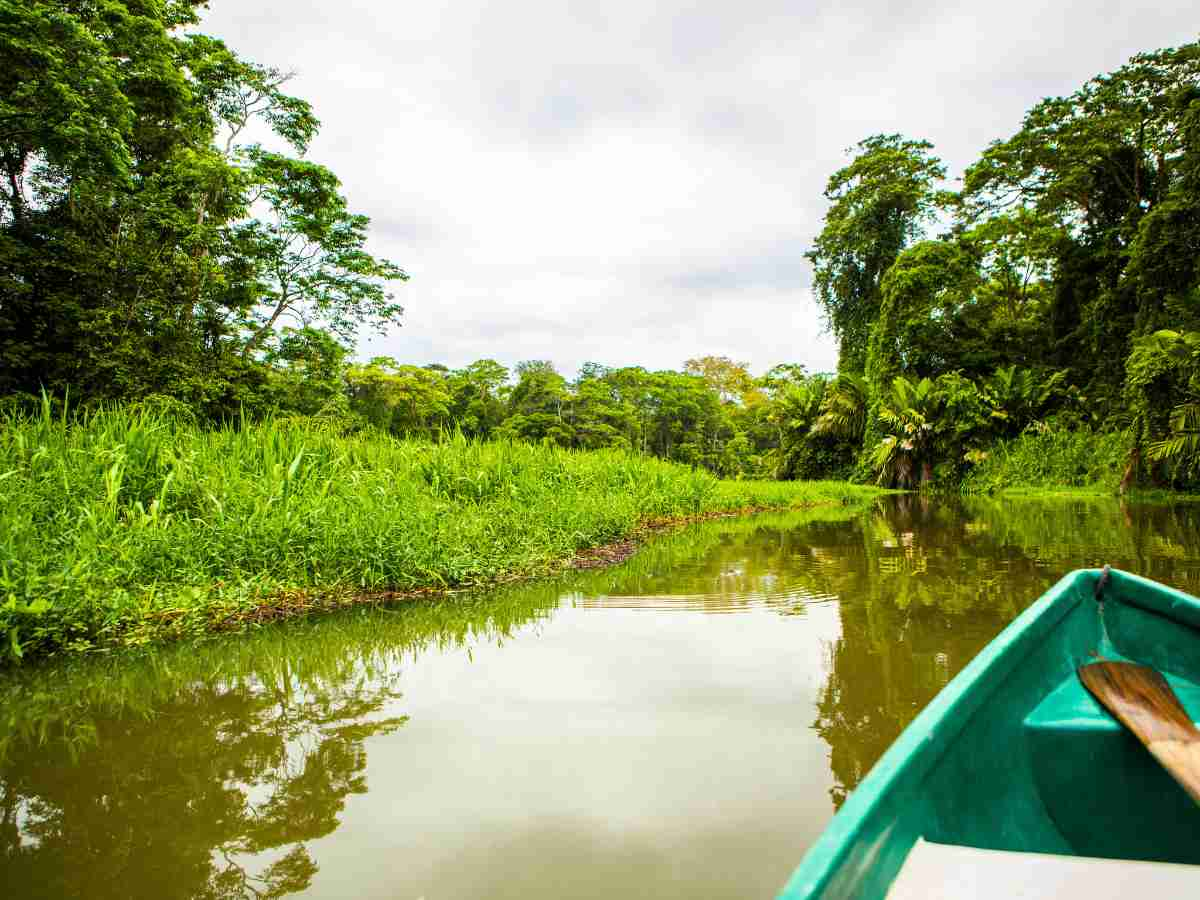 Tortuguero canals rainforest 