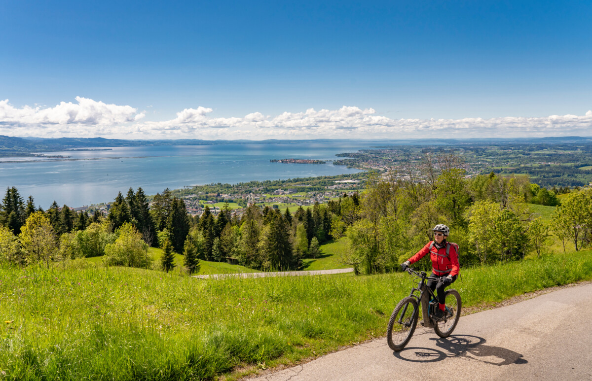 Tourist Cycling at Lake Constance