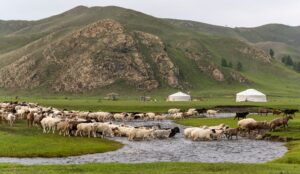 Mobile internet meets nomad tradition on the Mongolian steppe