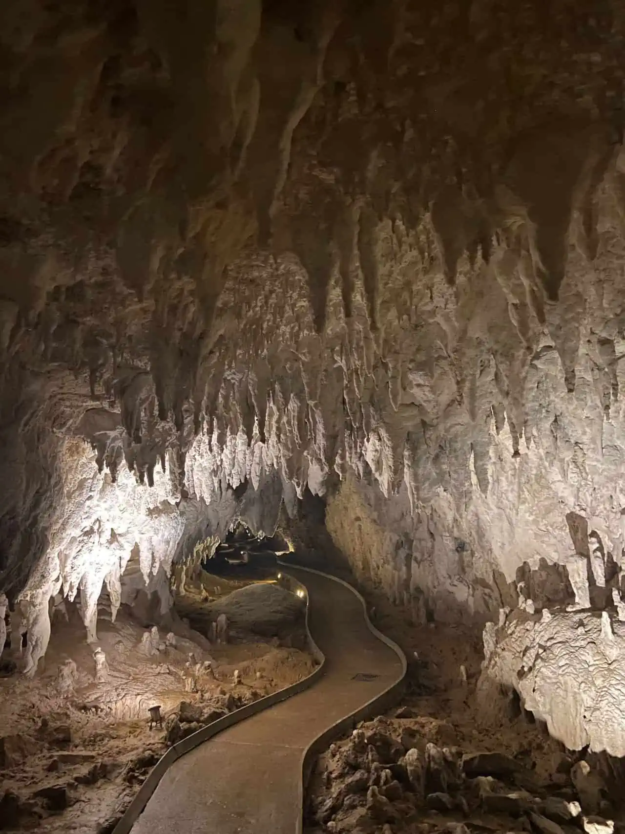 Limestone cave in Waitomo New Zealand