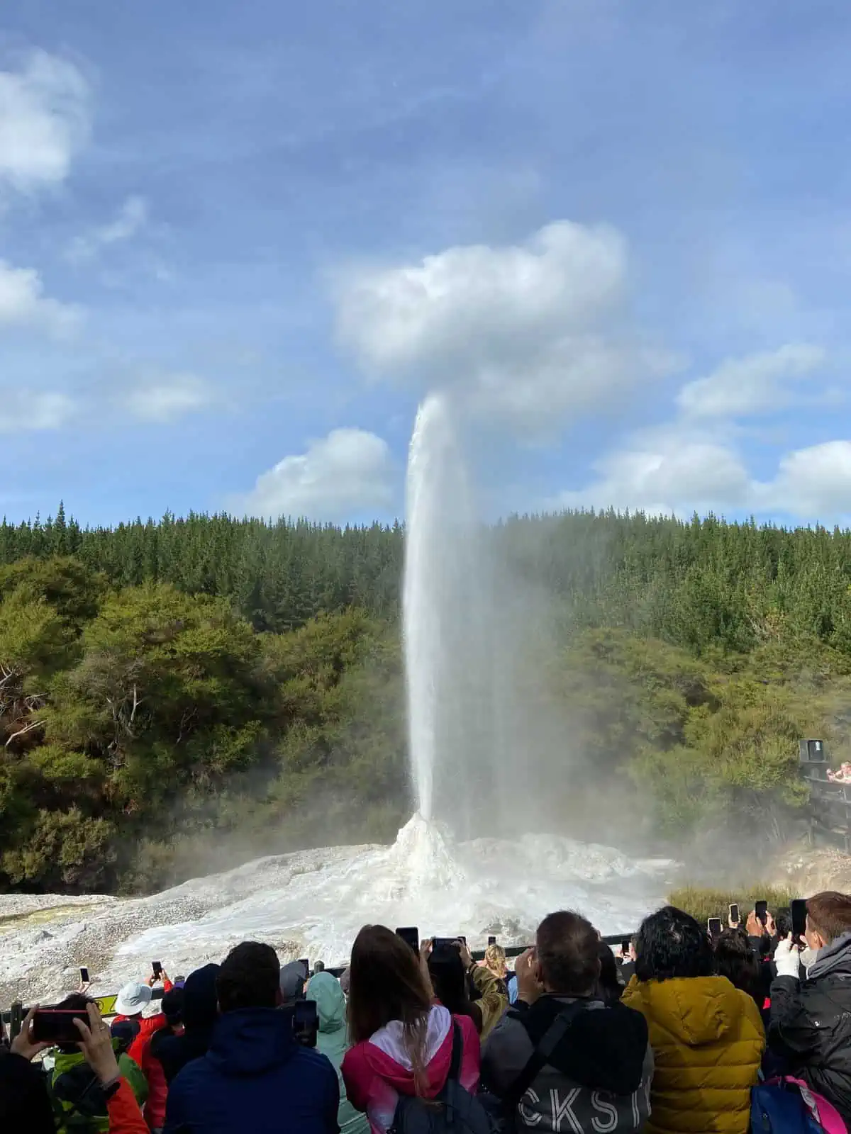 Lady Knox Geyser at Wai-o-tapu Thermal Wonderland in Rotorua, Aotearoa, New Zealand