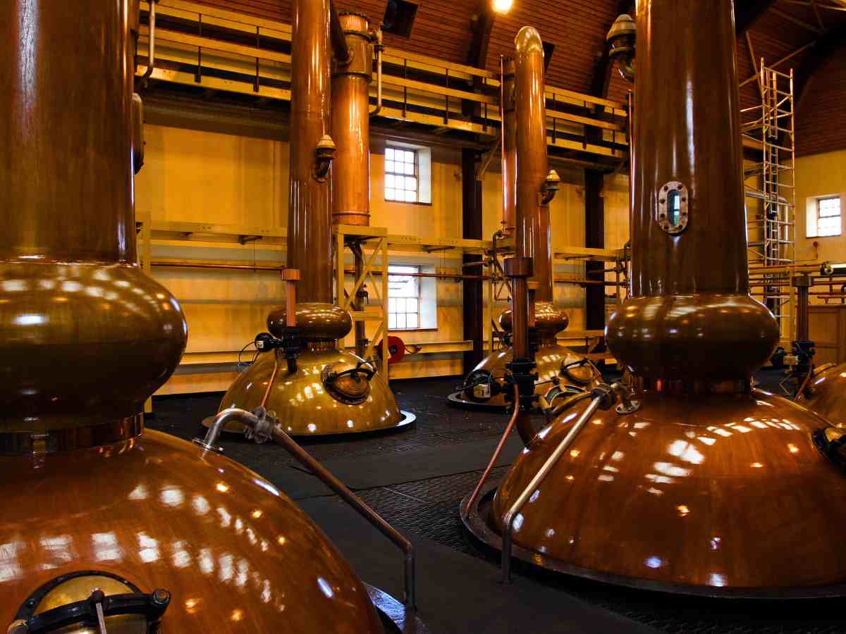 Stills in a whisky distillery