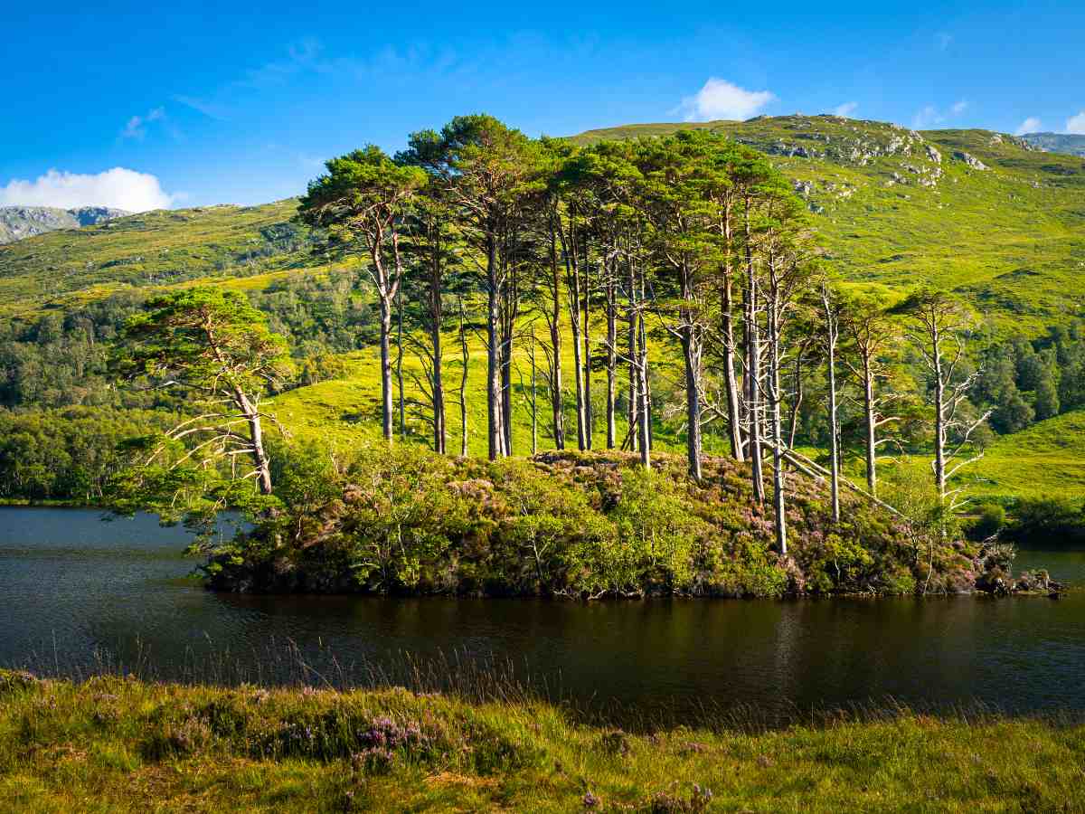 Loch Eilt 