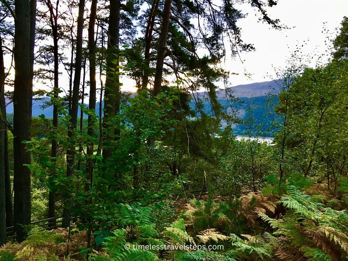 Falls of Foyers Walk lush green canopy of trees and blue 