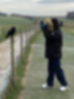 A person taking a photo of a crow at Stonehenge