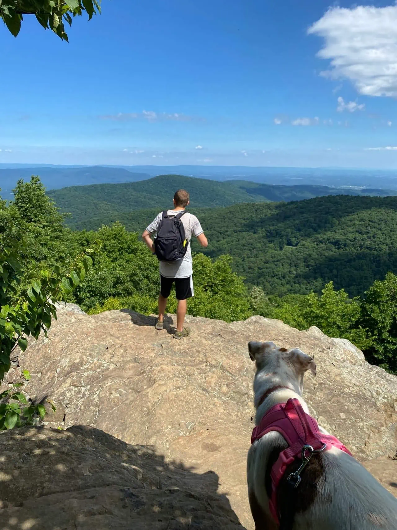 Paul and dog hiking and looking out at the views