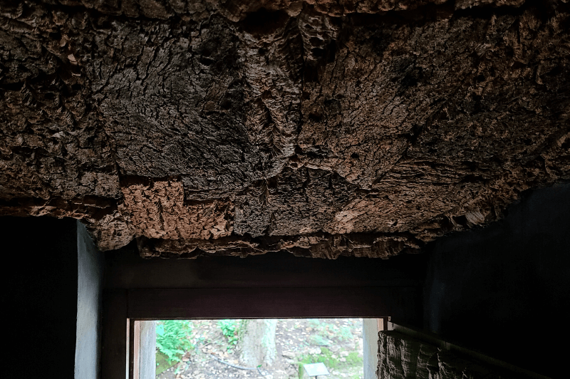 Cork ceiling at the Convent of the Capuchos