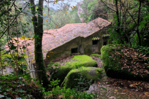 Visiting Sintra’s Convent of the Capuchos (Convento dos Capuchos) Worth it in 2024?