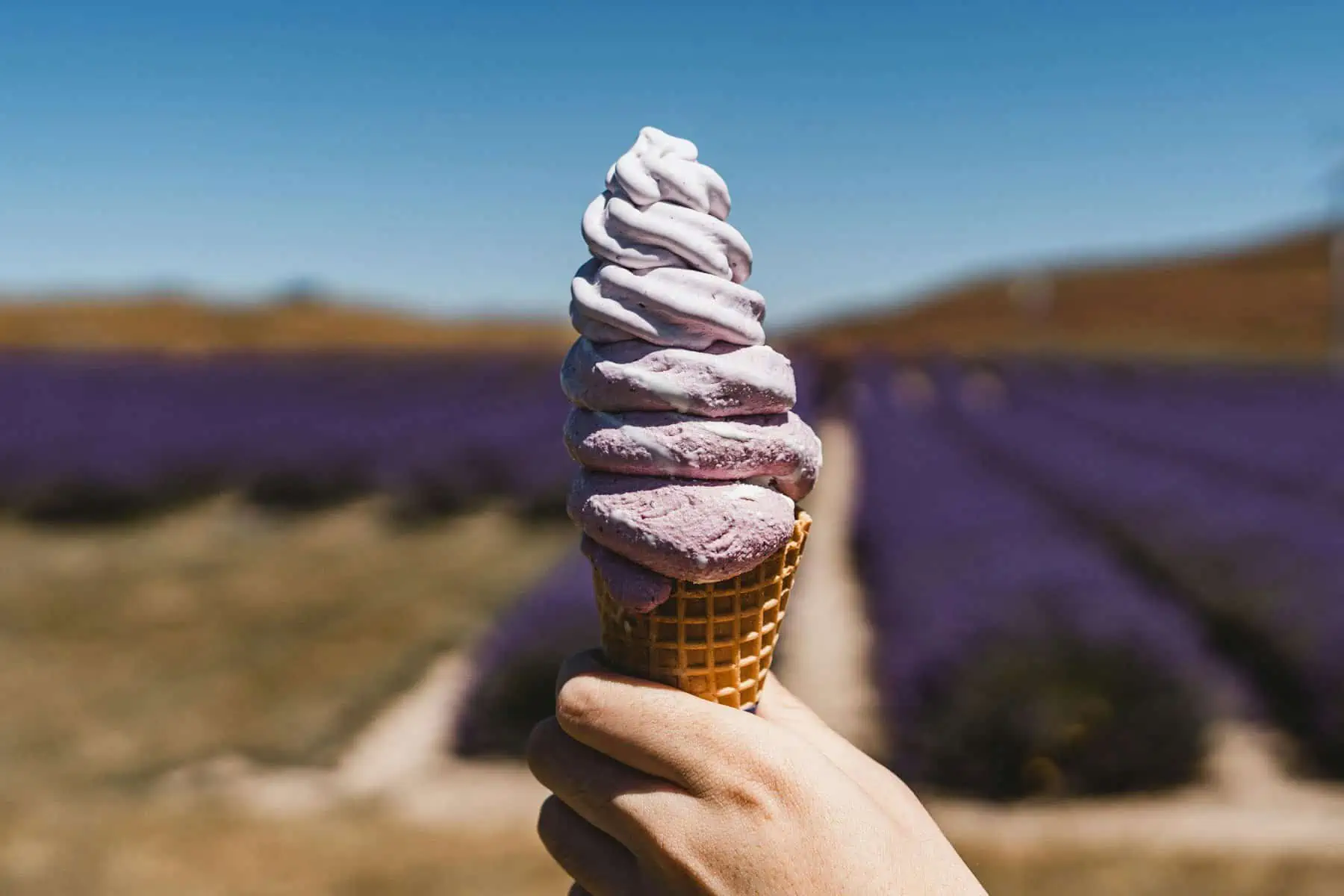 NZ Alpine Lavendar ice cream and field