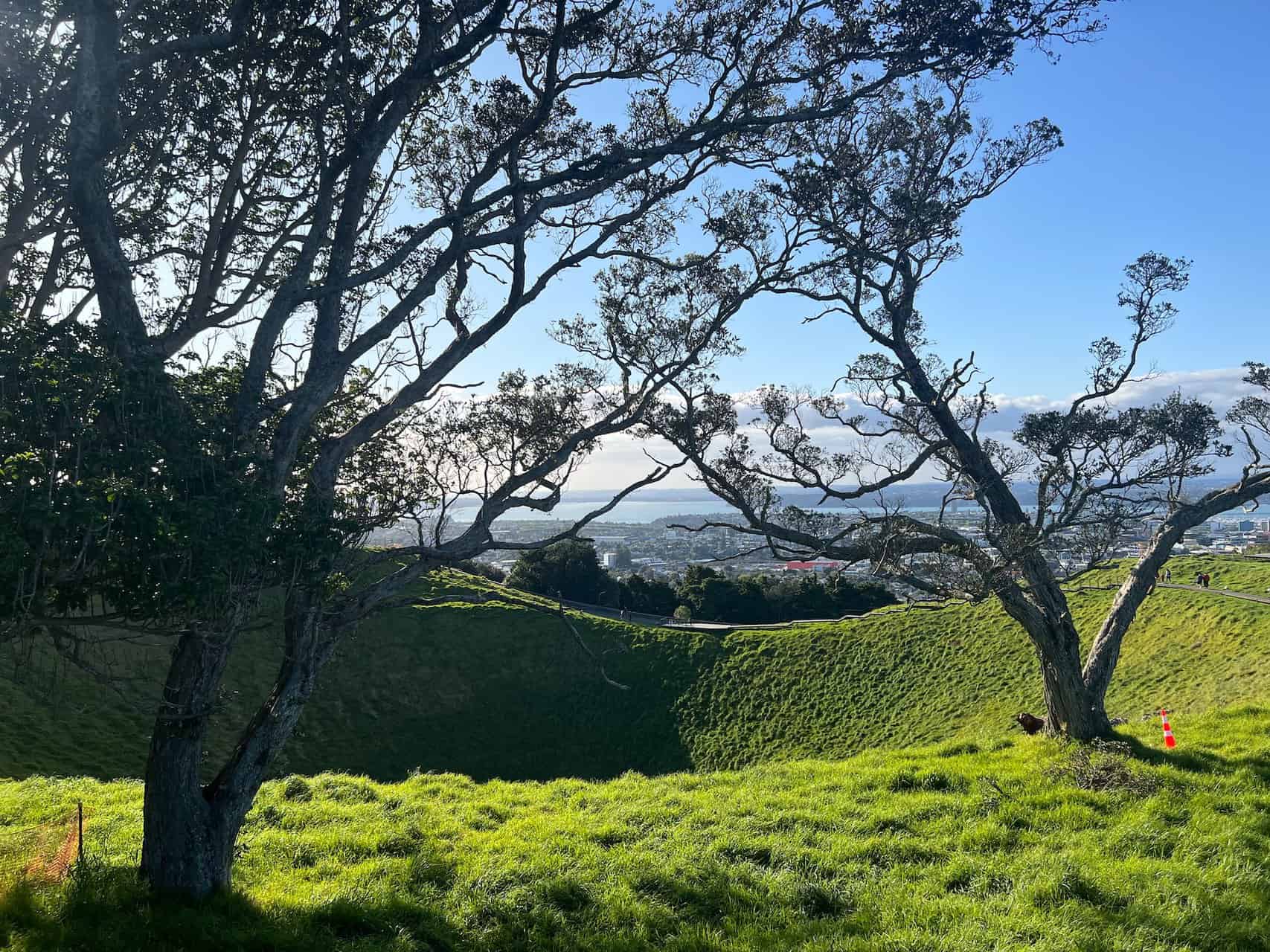 Mount Eden crater