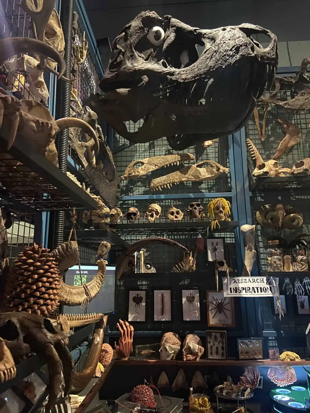 Monster heads at Weta Workshop Unlimited in Auckland